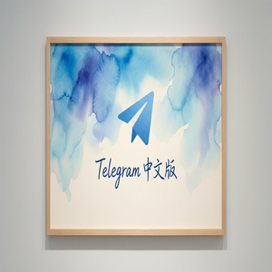纸飞机中文版群组管理员权限设置详解（实测有效） - Telegram 官网