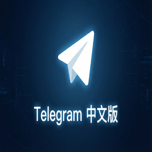 Telegram 中文版群组内如何进行视频会议？ - Telegram 官网